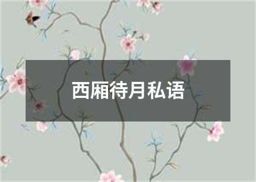 西厢待月私语