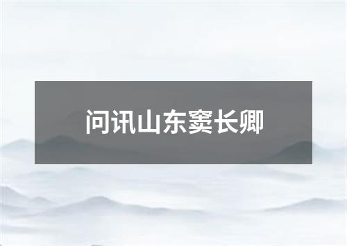 问讯山东窦长卿