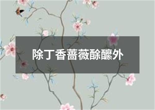 除丁香蔷薇酴醿外