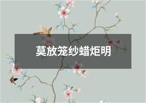 莫放笼纱蜡炬明