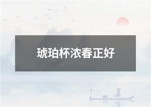 琥珀杯浓春正好