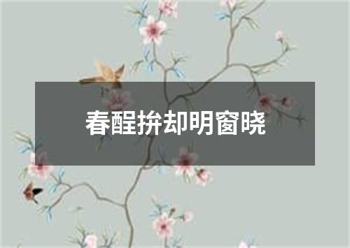 春酲拚却明窗晓