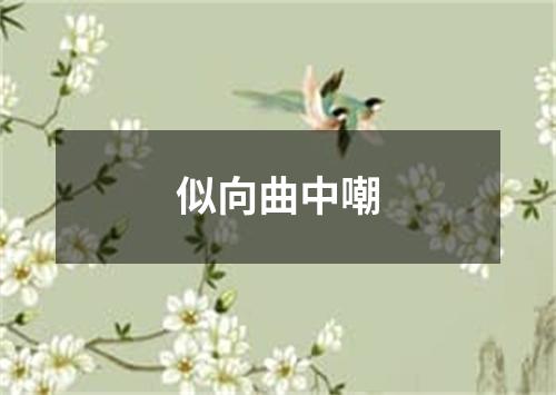 似向曲中嘲