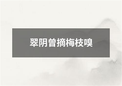 翠阴曾摘梅枝嗅