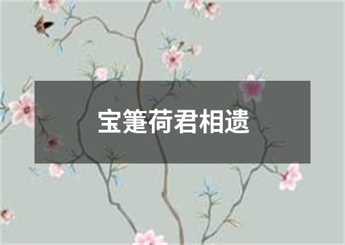 宝箑荷君相遗