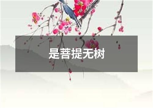 是菩提无树