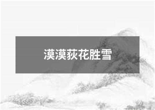 漠漠荻花胜雪