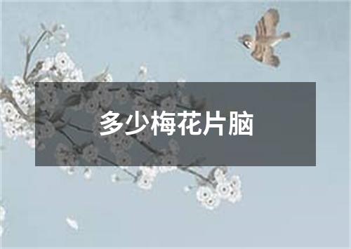 多少梅花片脑