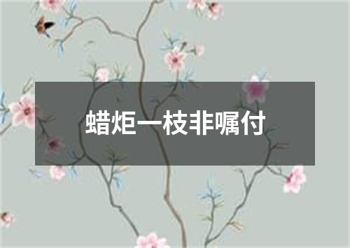 蜡炬一枝非嘱付