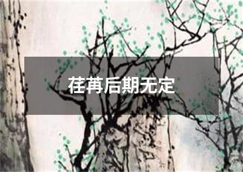 荏苒后期无定