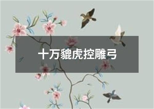 十万貔虎控雕弓