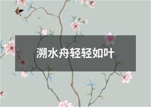 溯水舟轻轻如叶