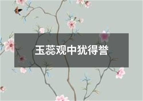 玉蕊观中犹得誉