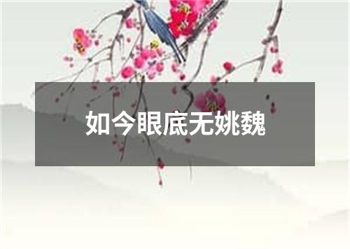 如今眼底无姚魏