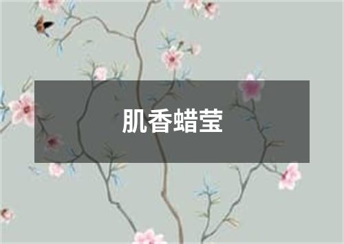 肌香蜡莹