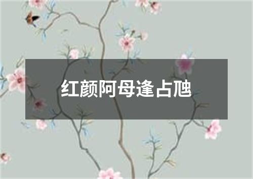 红颜阿母逢占虺