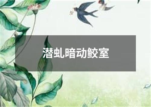 潜虬暗动鲛室