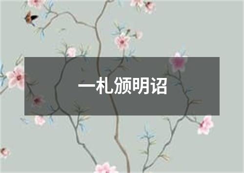 一札颁明诏