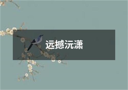 远撼沅潇