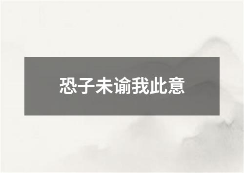 恐子未谕我此意