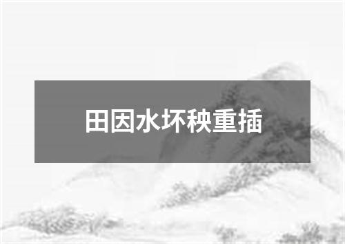 田因水坏秧重插