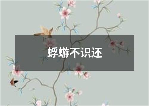 蜉蝣不识还