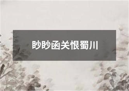 眇眇函关恨蜀川