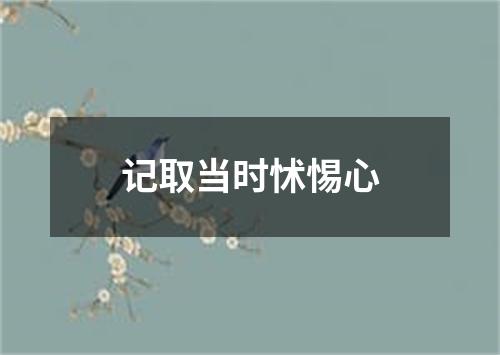 记取当时怵惕心