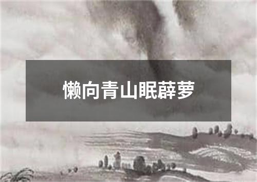 懒向青山眠薜萝