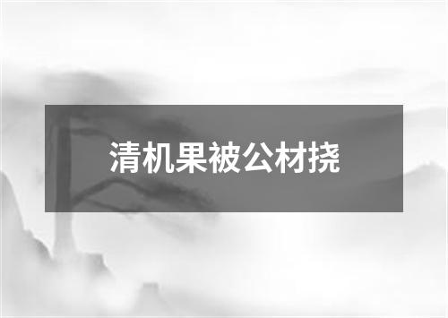 清机果被公材挠