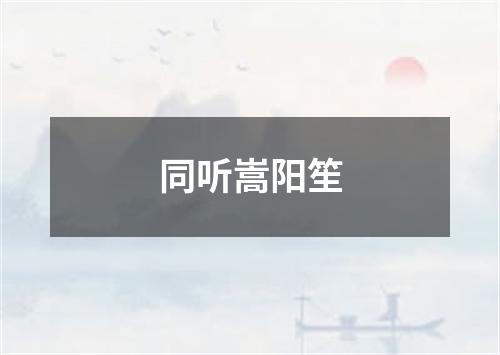 同听嵩阳笙