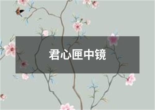 君心匣中镜