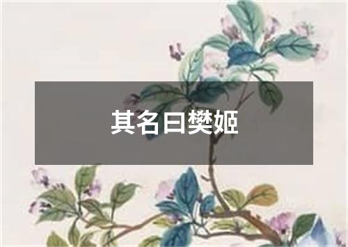 其名曰樊姬