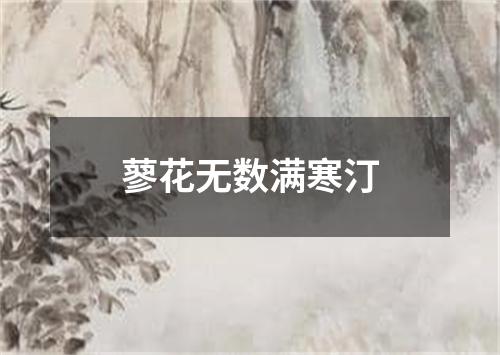 蓼花无数满寒汀