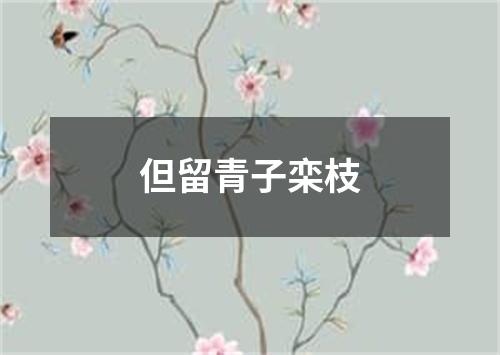 但留青子栾枝