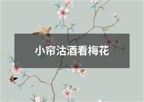 小帘沽酒看梅花