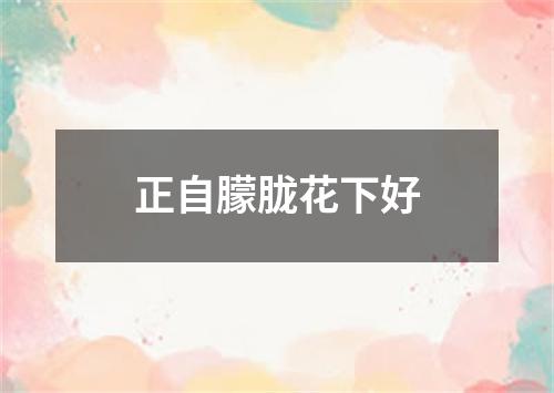 正自朦胧花下好