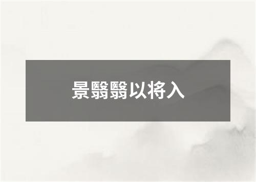 景翳翳以将入