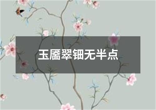 玉靥翠钿无半点