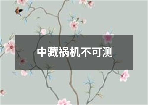 中藏祸机不可测