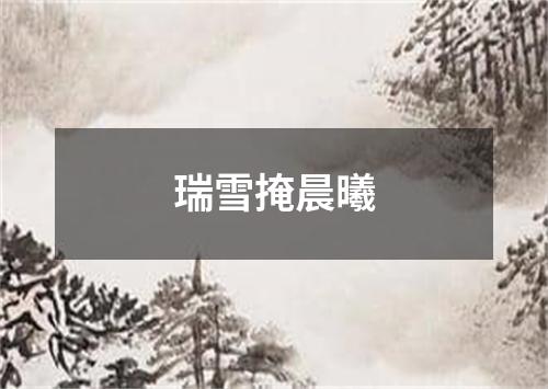 瑞雪掩晨曦