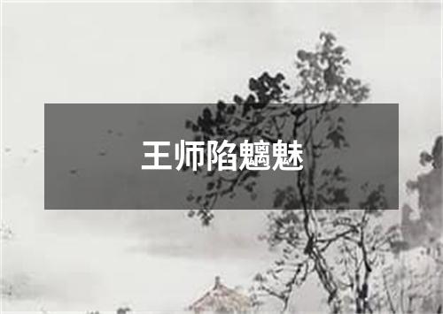 王师陷魑魅