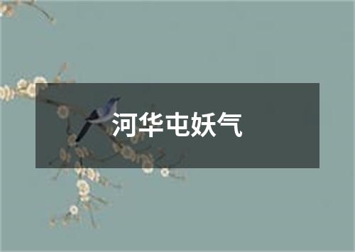 河华屯妖气