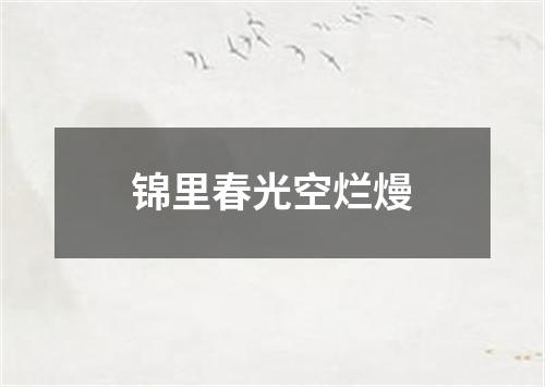 锦里春光空烂熳