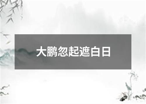 大鹏忽起遮白日