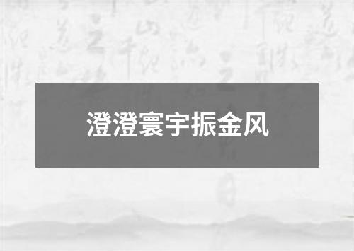 澄澄寰宇振金风