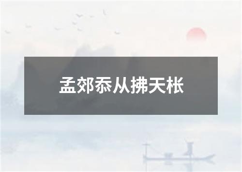 孟郊忝从拂天枨