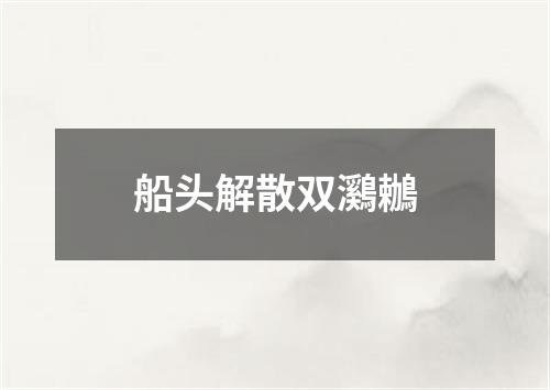 船头解散双鸂鶒