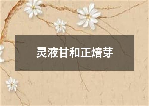 灵液甘和正焙芽