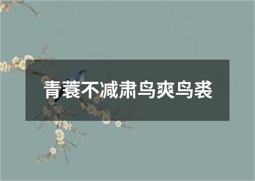 青蓑不减肃鸟爽鸟裘